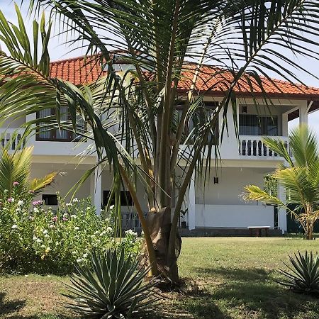 Ypsylon Resort Ostkueste นิลาเวลี ภายนอก รูปภาพ